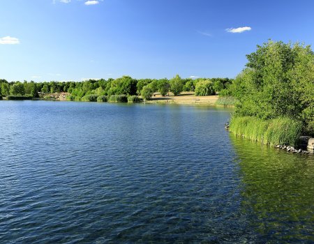 Artikelbild