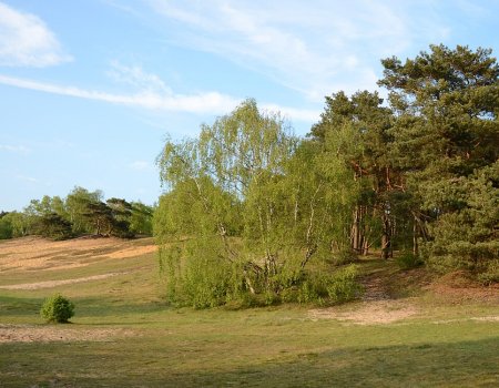 Artikelbild