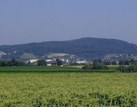 Artikelbild