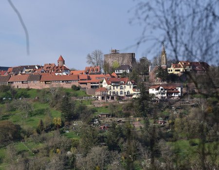 Artikelbild
