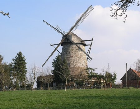 Artikelbild