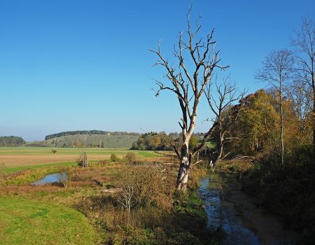 Artikelbild