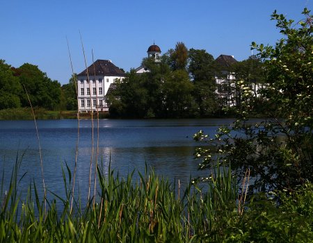 Artikelbild