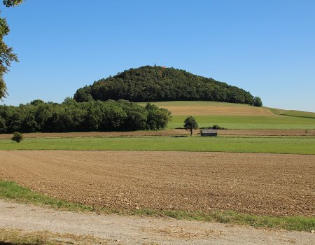 Artikelbild