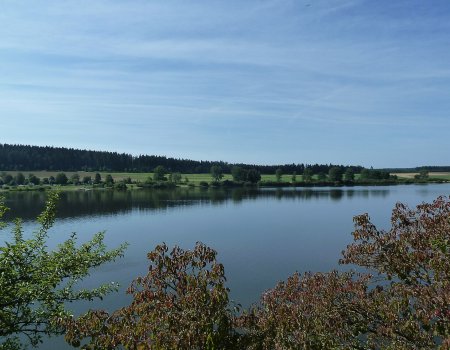 Artikelbild
