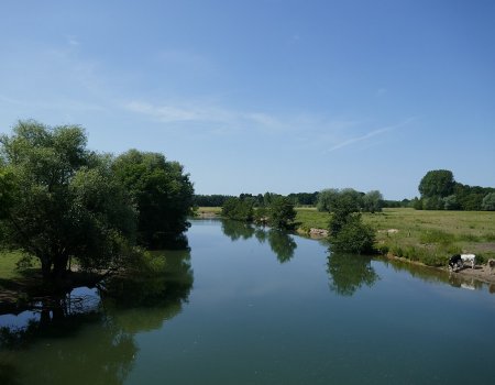 Artikelbild