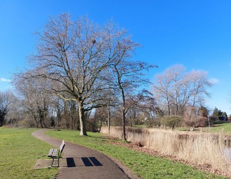 Artikelbild