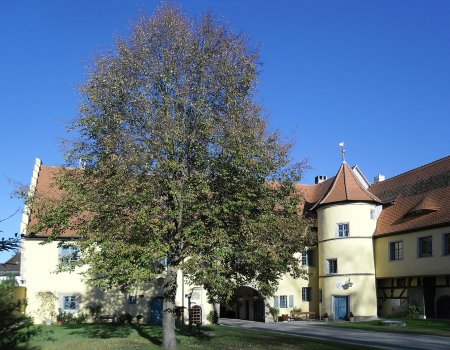 Artikelbild