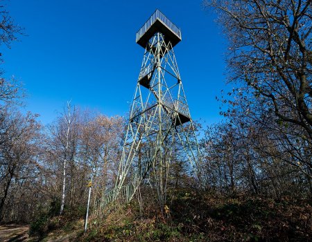Artikelbild