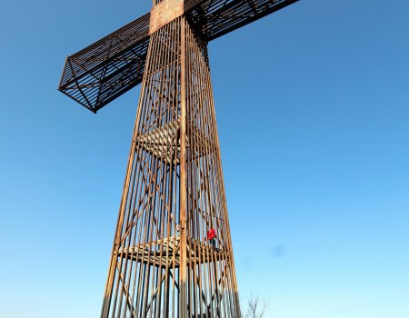 Artikelbild