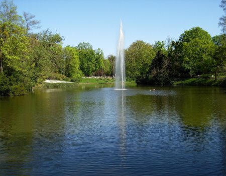 Artikelbild