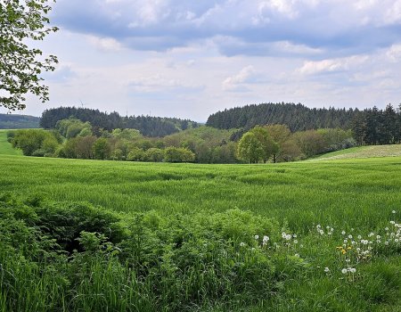 Artikelbild