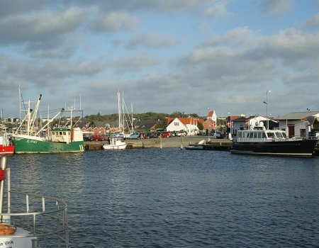 Artikelbild