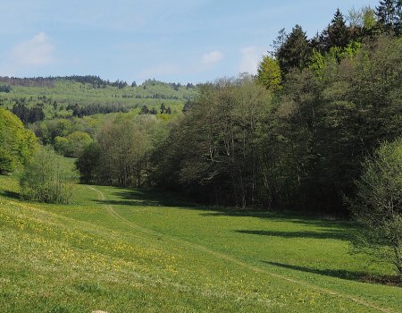 Artikelbild