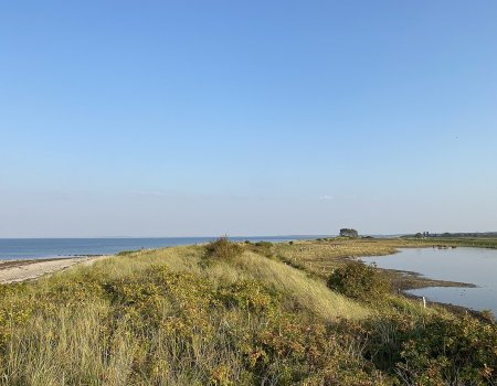 Artikelbild