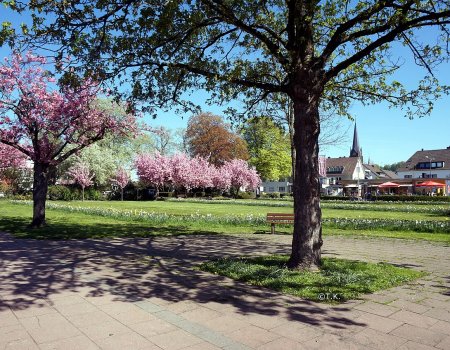 Artikelbild