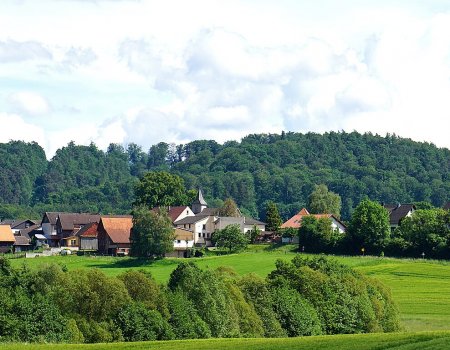 Artikelbild