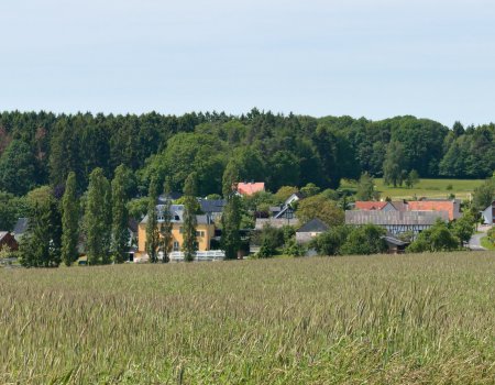 Artikelbild