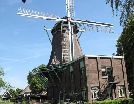 Artikelbild