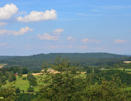 Artikelbild