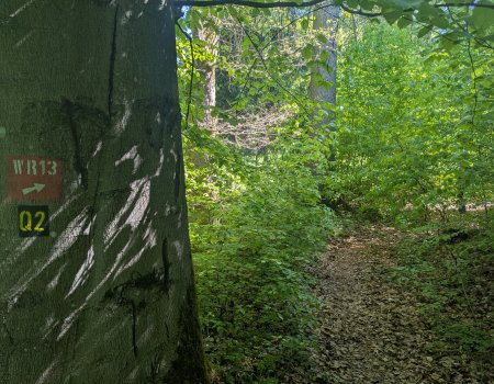 Artikelbild