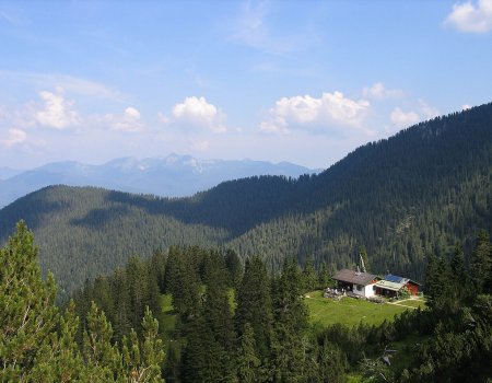 Artikelbild