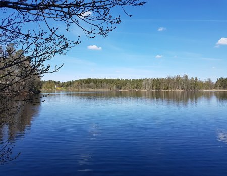 Artikelbild
