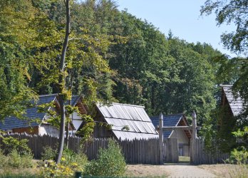 Cerda & Celtoi  Europäische Akademie Otzenhausen gGmbH