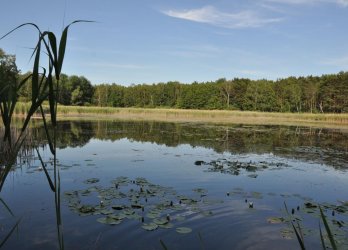 Walzenlüfter in Brandenburg - Am Mellensee