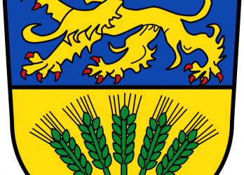 Artikelbild