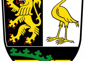Artikelbild