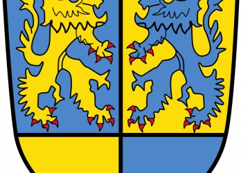 Artikelbild
