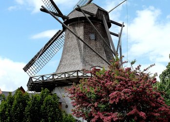 Artikelbild
