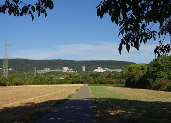 Artikelbild