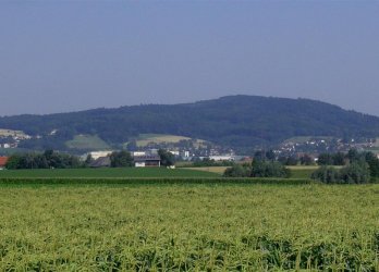 Artikelbild