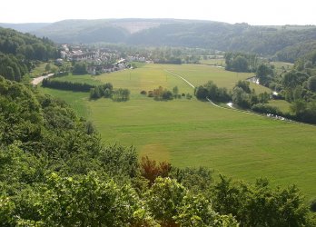 Artikelbild