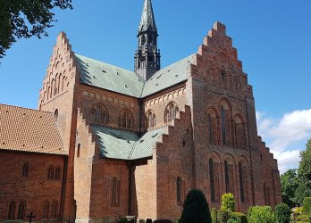Artikelbild