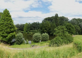 Artikelbild