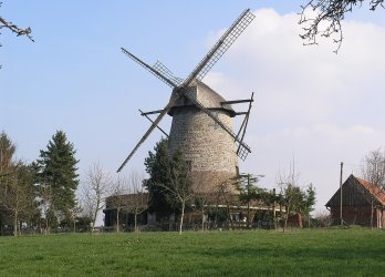 Artikelbild