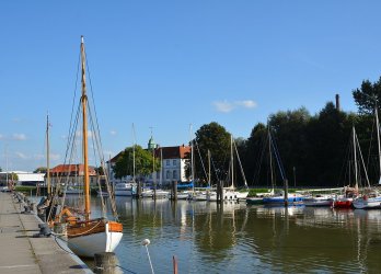 Artikelbild