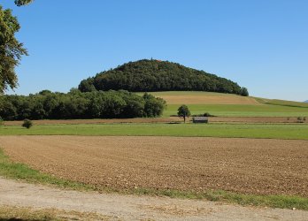 Artikelbild
