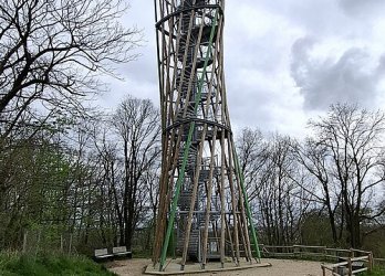 Artikelbild