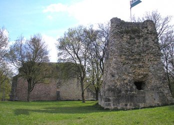 Artikelbild