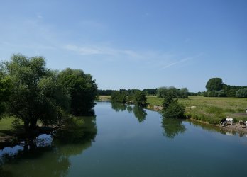 Artikelbild