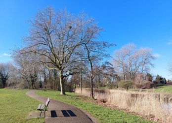 Artikelbild