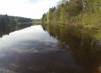 Artikelbild