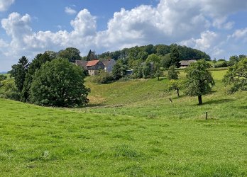 Artikelbild