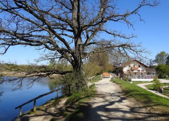 Artikelbild