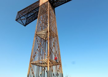 Artikelbild