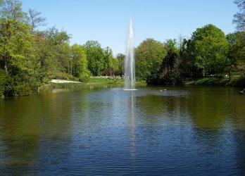 Artikelbild